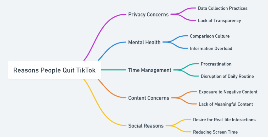 How to Quit TikTok -reasons people quit tiktok